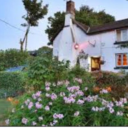 The Northmore Arms Throwleigh Exterior photo